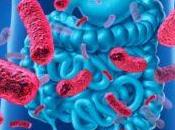 Diez aspectos poco conocidos sobre microbiota intestinal