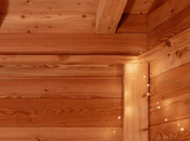 Ventajas construir cabaña madera Pineca