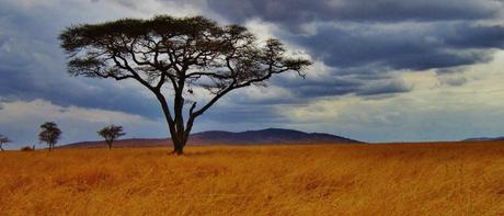 Tendencias de viajes de novios 2024