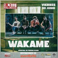 Concierto de Wakame en El Perro de la parte de atrás del coche
