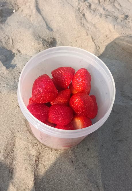 Pequeño (Gran) Avance: Disfrutando de Un Día De Playa