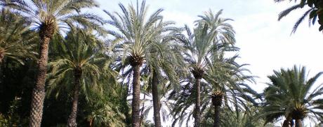 Pueblos que visitar en la provincia de Alicante