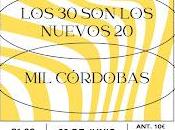 nuevos Córdobas perro parte atrás coche