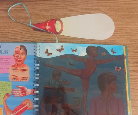 Leyendo «Libro Linterna: Cuerpo Humano» (Susaeta)