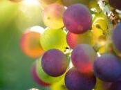 índice Davies-Bouldinen para estimar clústeres k-means implementación Python