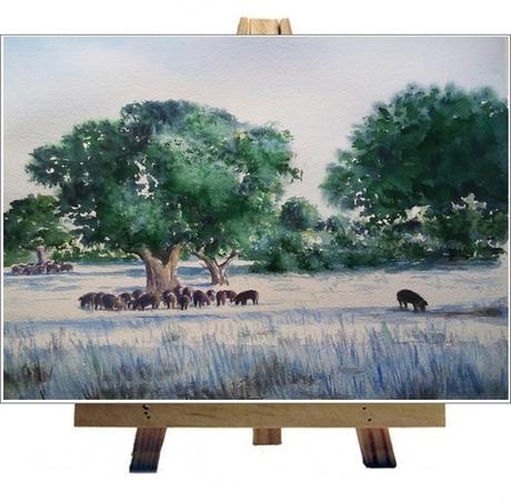 La Dehesa Salmantina