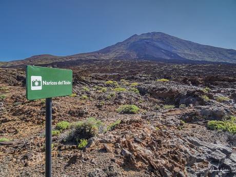 Coladas de Lava Negra Carretera TF38 de Pico Viejo Parque Nacional del Teide