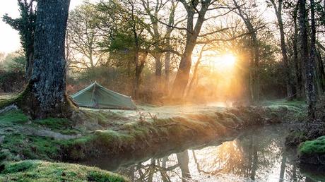 12 campamentos mejor calificados en New Hampshire Camping cerca de un arroyo en New Hampshire