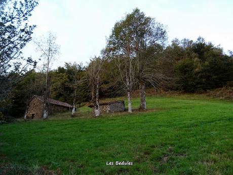 Les Bedules-Picu del Antiguu (Colláu Zorru)-Cazoli