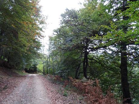 Les Bedules-Picu del Antiguu (Colláu Zorru)-Cazoli