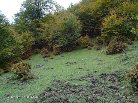 Les Bedules-Picu del Antiguu (Colláu Zorru)-Cazoli