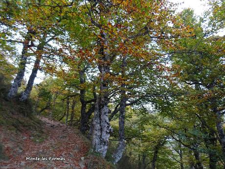 Les Bedules-Picu del Antiguu (Colláu Zorru)-Cazoli