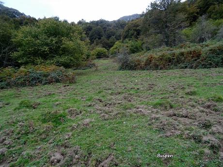 Les Bedules-Picu del Antiguu (Colláu Zorru)-Cazoli