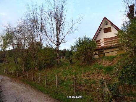 Les Bedules-Picu del Antiguu (Colláu Zorru)-Cazoli