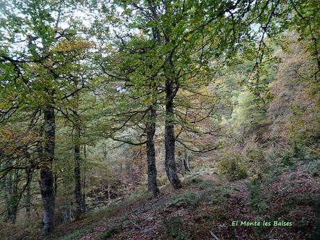 Les Bedules-Picu del Antiguu (Colláu Zorru)-Cazoli