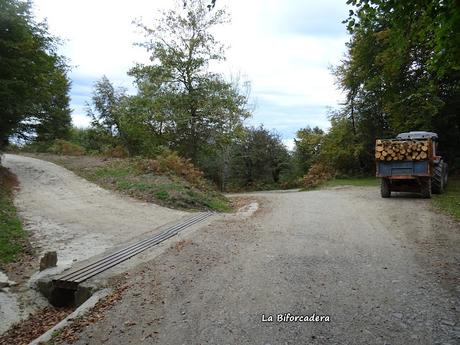 Les Bedules-Picu del Antiguu (Colláu Zorru)-Cazoli