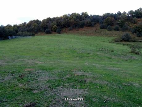 Les Bedules-Picu del Antiguu (Colláu Zorru)-Cazoli