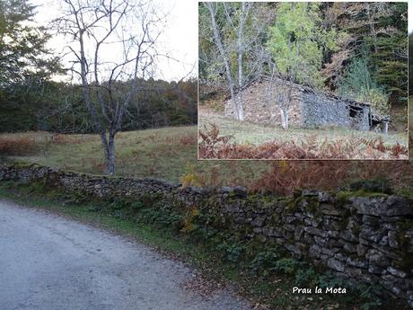 Les Bedules-Picu del Antiguu (Colláu Zorru)-Cazoli