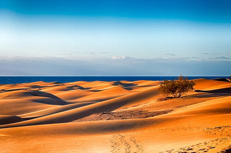 Maspalomas en Gran Canaria: los mejores consejos para tus próximas vacaciones Maspalomas en Gran Canaria: los mejores consejos para tus próximas vacaciones