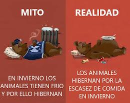 DESTRUYENDO 27 MITOS HISTÓRICOS (PARTE I)