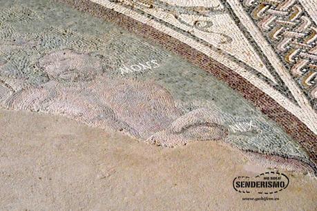 Mosaico Cosmogónico Mosaico Cosmogónico