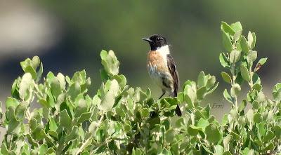 NORTE DE BURGOS (17/06/2023)