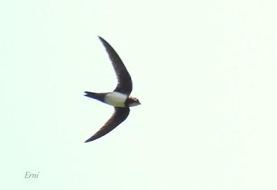 NORTE DE BURGOS (17/06/2023)