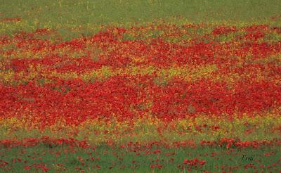 NORTE DE BURGOS (17/06/2023)