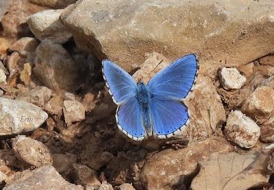 NORTE DE BURGOS (17/06/2023)