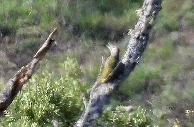 NORTE DE BURGOS (17/06/2023)