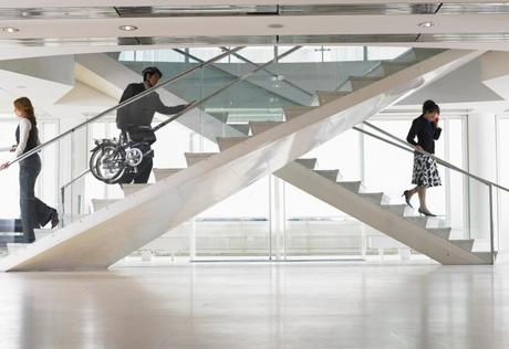 Crecer o morir en los negocios