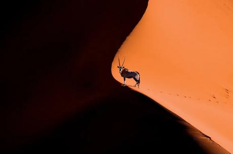 ¿Listos para descubrir y vivir el Mejor Safari de África? 18