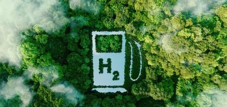 El Combustible del Futuro: el Hidrógeno Verde en India. 29