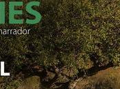 Rain Bird presenta segundo capítulo Tree Stories Latinoamérica: Copal