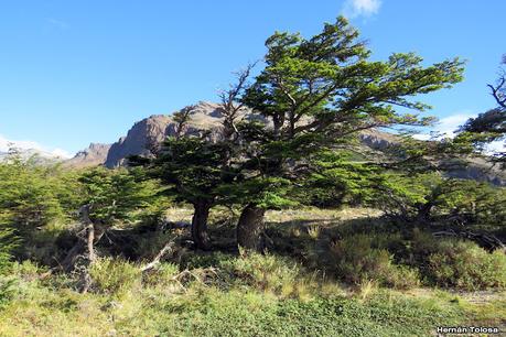 Parque Nacional Perito Moreno (febrero 2022)