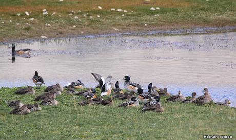 Parque Nacional Perito Moreno (febrero 2022)