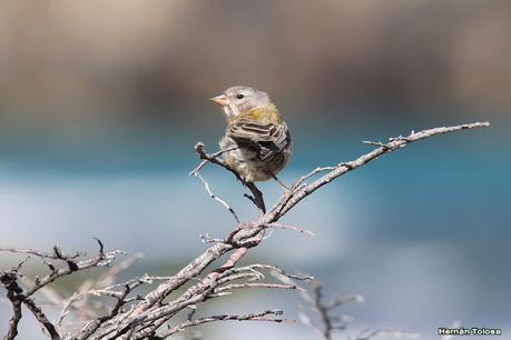 Parque Nacional Perito Moreno (febrero 2022)