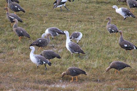Parque Nacional Perito Moreno (febrero 2022)