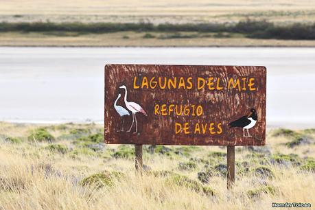 Parque Nacional Perito Moreno (febrero 2022)