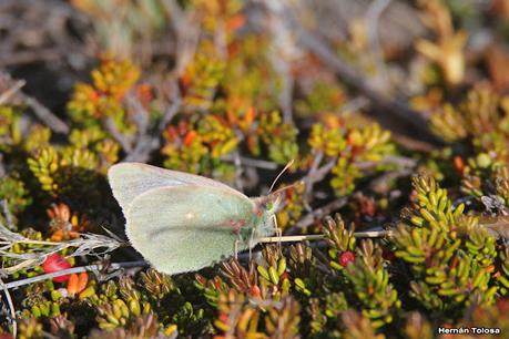 Parque Nacional Perito Moreno (febrero 2022)