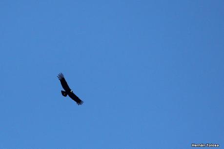 Parque Nacional Perito Moreno (febrero 2022)