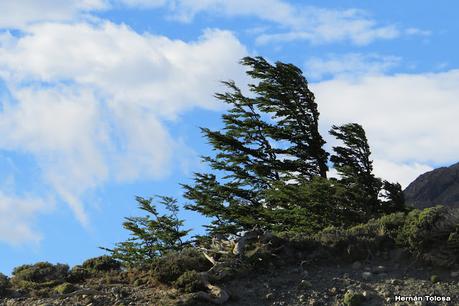 Parque Nacional Perito Moreno (febrero 2022)