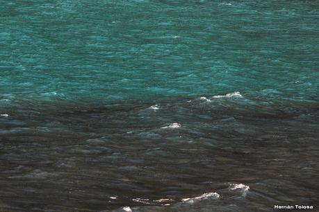 Parque Nacional Perito Moreno (febrero 2022)