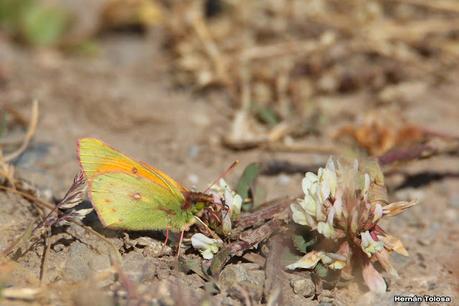 Parque Nacional Perito Moreno (febrero 2022)