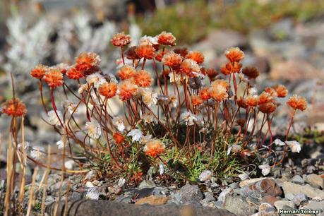 Parque Nacional Perito Moreno (febrero 2022)