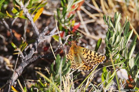 Parque Nacional Perito Moreno (febrero 2022)