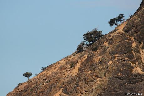 Parque Nacional Perito Moreno (febrero 2022)