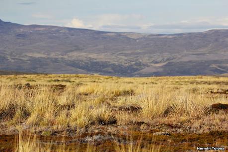 Parque Nacional Perito Moreno (febrero 2022)
