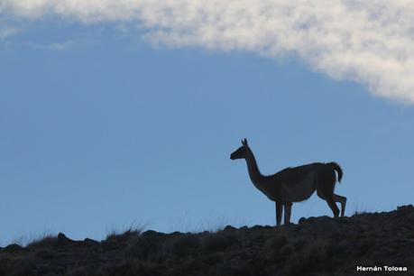 Parque Nacional Perito Moreno (febrero 2022)