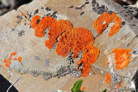 Parque Nacional Perito Moreno (febrero 2022)